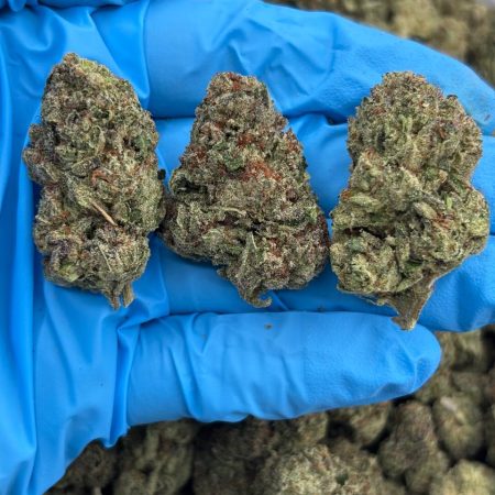 OATMEAL COOKIE - AL908BC