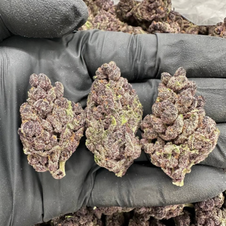 Apple Fritter Frost – MC506PS