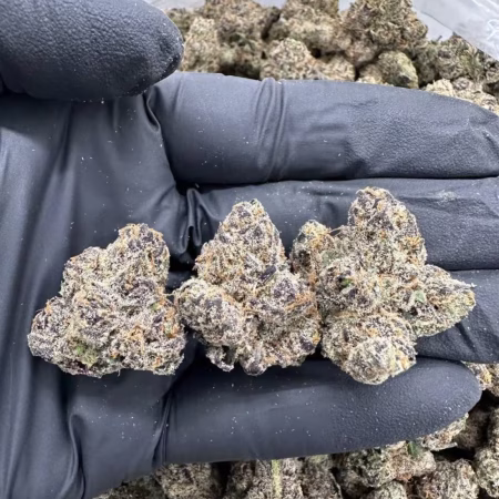 Cookie Dough Dream – MC506SLC