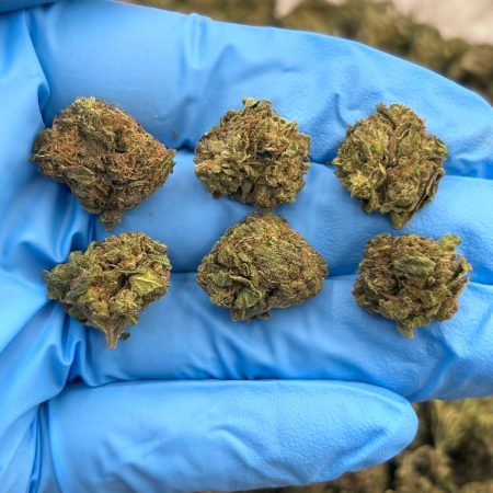 ELECTRA ICE - SK1009EI