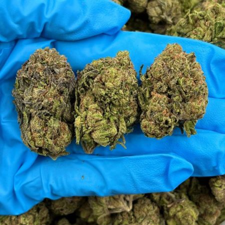 GLITTER BOMB - TY702GB