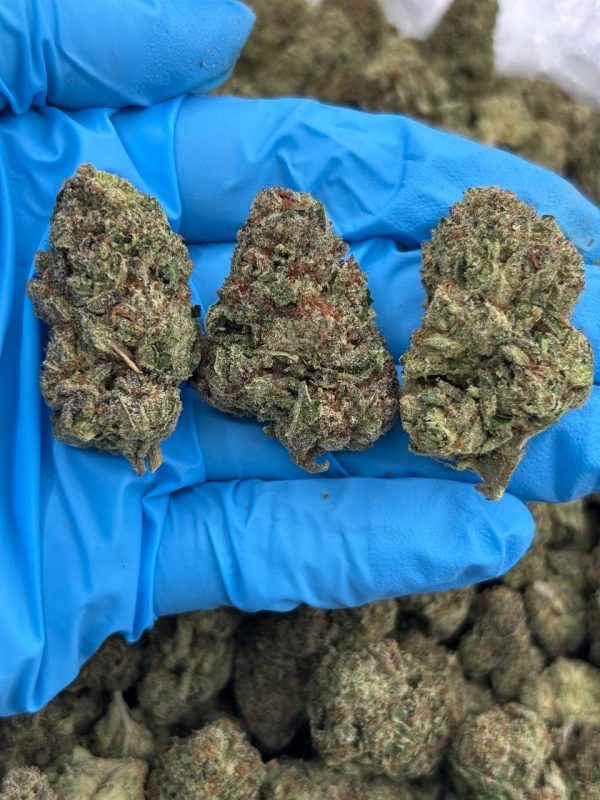 OATMEAL COOKIE - AL908BC