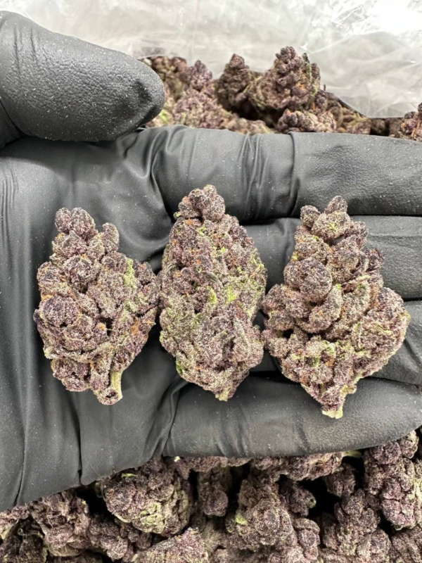 Apple Fritter Frost – MC506PS