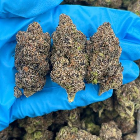 BLUEBERRY BLUSH – EL714SC