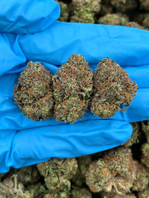 CHERRY BOMB – ED715LI