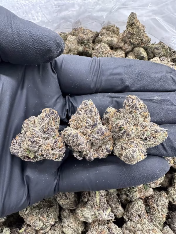 Cookie Dough Dream – MC506SLC