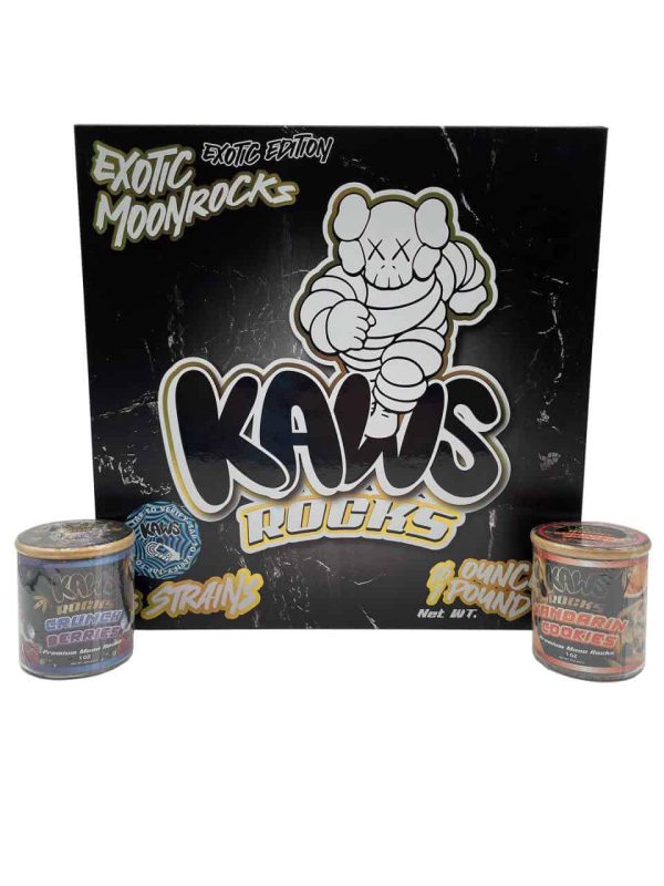 KAWS EXOTIC MOONROCKS