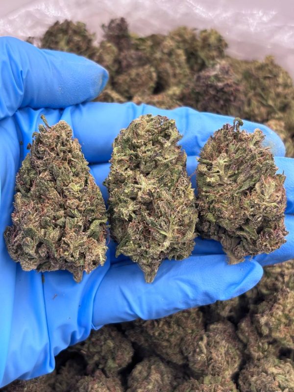 PURPLE COOKIE DOUGH - LM1009PC