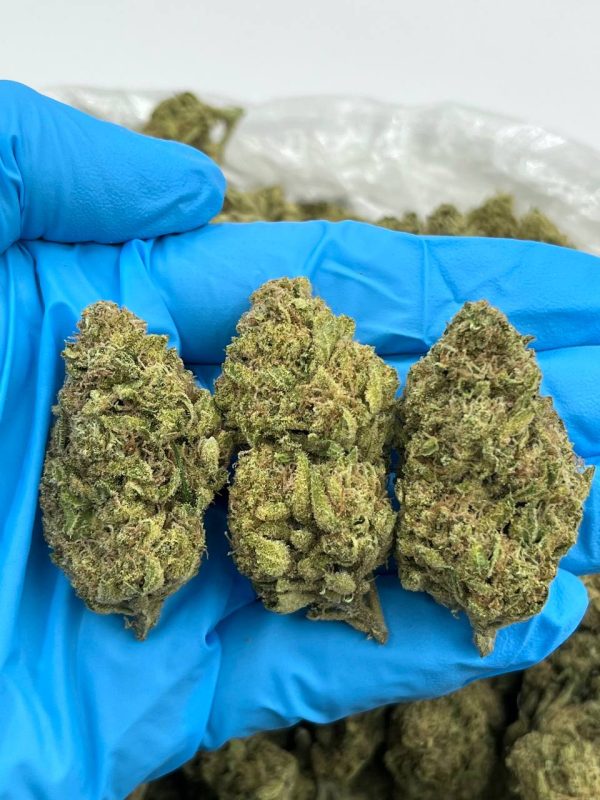 LEMON BISCOTTI - LM1009RU