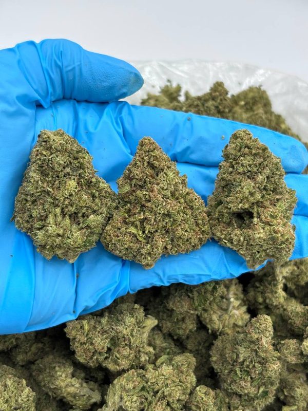 SUPER BUBB - LM1009SB