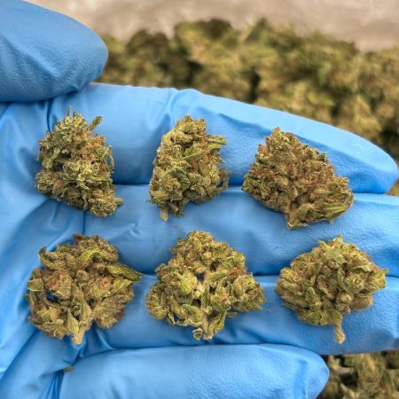 OREO CRUMBLE - SK1009OZ