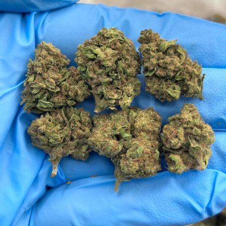 SPACE ROCKS - SK1009SR