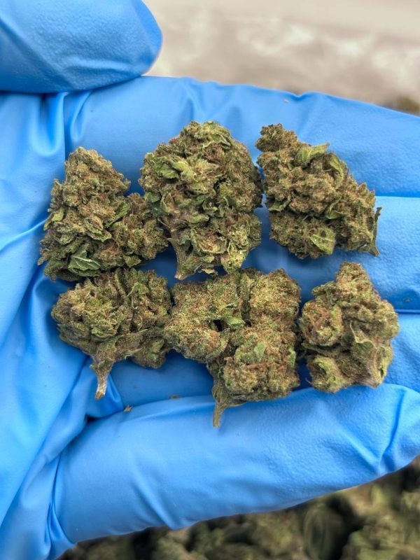 SPACE ROCKS - SK1009SR